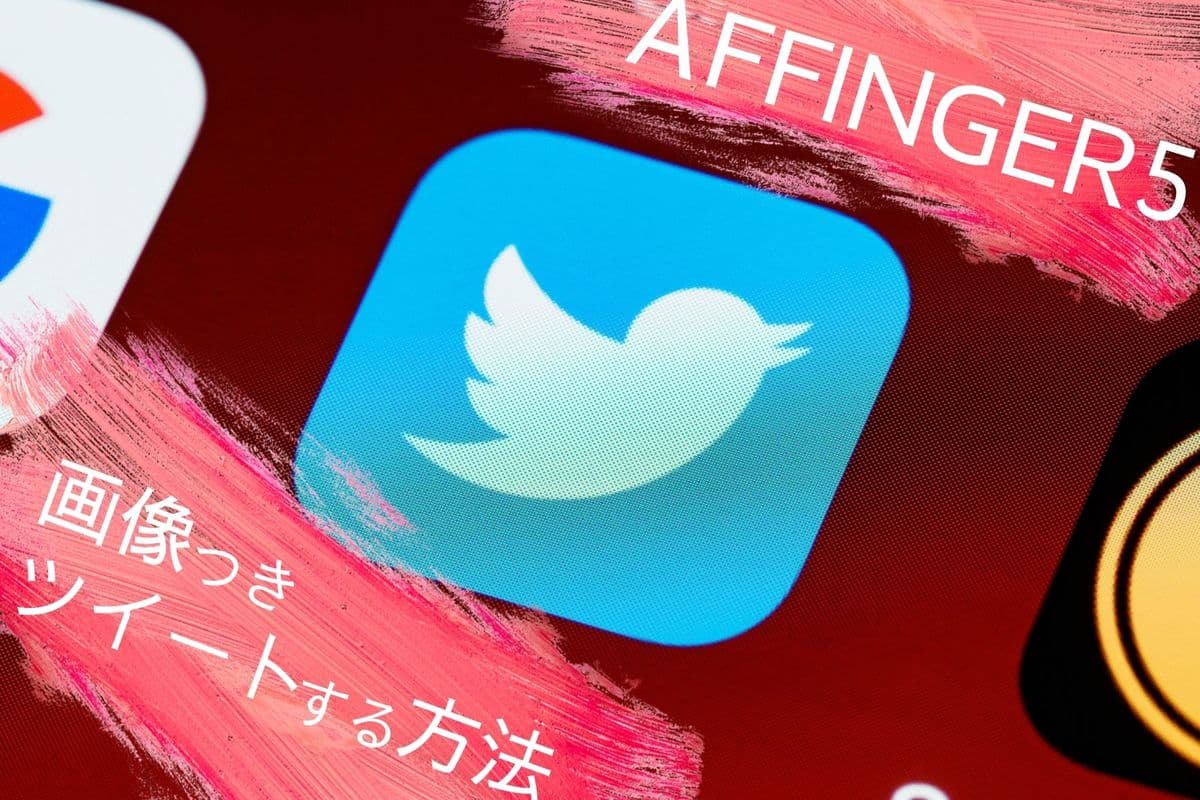 【1分解決】AFFINGER5の記事をTwitterで画像付きツイートする方法【Twitterカード設定】